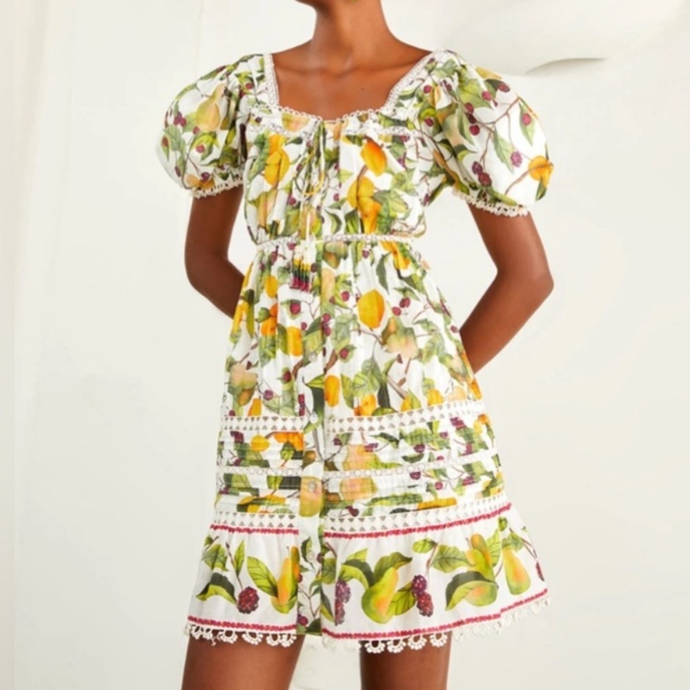 Farm Rio Fruit Orchard Mini Dress NWT